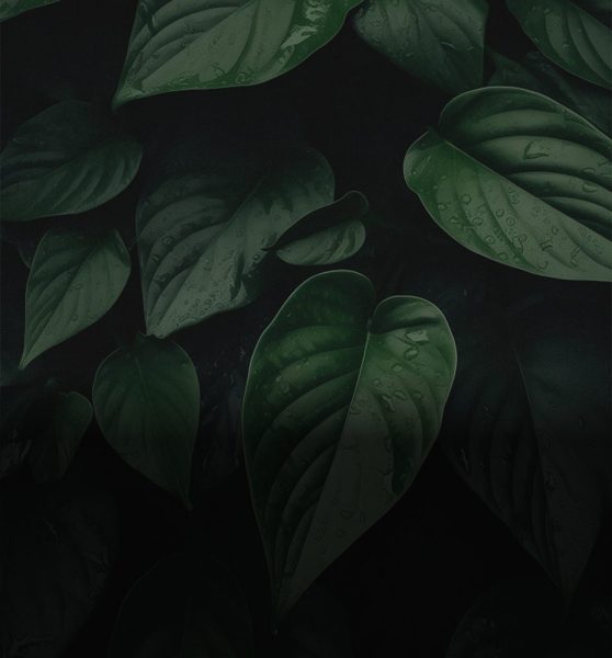 Organizing Your Home: Tips for Creating Sancity